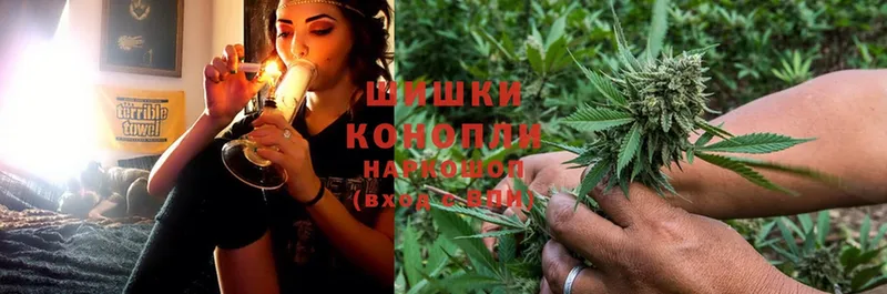 сколько стоит  Зеленоградск  Бошки марихуана SATIVA & INDICA 